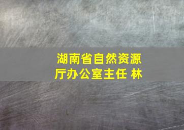 湖南省自然资源厅办公室主任 林